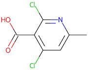 2,4-Dichloro-6-methylnicotinic acid