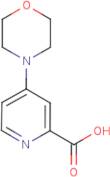 4-Morpholin-1-ylpyridine-2-carboxylic acid