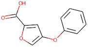 4-Phenoxy-2-furoic acid