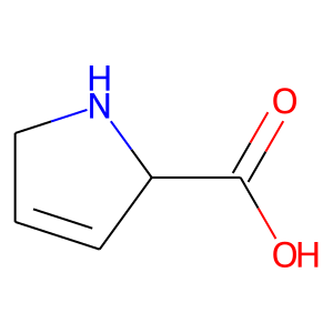 2,5-Dihydro-1H-pyrrole-2-carboxylic acid