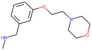 N-Methyl-N-[3-(2-morpholin-4-ylethoxy)benzyl]amine