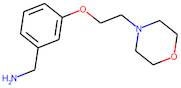 {3-[2-(Morpholin-4-yl)ethoxy]phenyl}methylamine