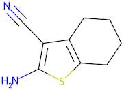 2-Amino-4,5,6,7-tetrahydrobenzo[b]thiophene-3-carbonitrile