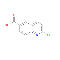 2-Chloroquinoline-6-carboxylic acid