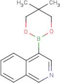 Isoquinoline-4-boronic acid, 2,2-dimethylpropane-1,3-diol cyclic ester
