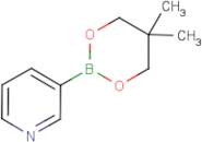 Pyridine-3-boronic acid, neopentylglycol ester