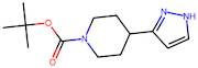 tert-Butyl 4-(1H-pyrazol-3-yl)piperidine-1-carboxylate