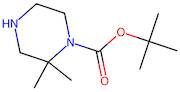 tert-Butyl 2,2-dimethylpiperazine-1-carboxylate