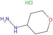 (Tetrahydro-2H-pyran-4-yl)hydrazine hydrochloride