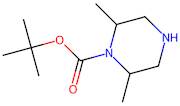 1-Boc-2,6-dimethylpiperazine