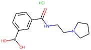 3-[(2-Pyrrolidin-1-ylethyl)carbamoyl]benzeneboronic acid hydrochloride