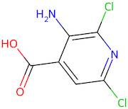 3-Amino-2,6-dichloroisonicotinic acid