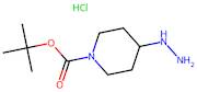 tert-Butyl 4-hydrazinylpiperidine-1-carboxylate hydrochloride