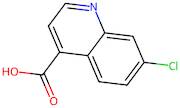 7-Chloroquinoline-4-carboxylic acid