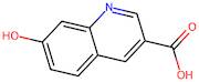 7-Hydroxyquinoline-3-carboxylic acid