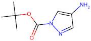 tert-Butyl 4-amino-1H-pyrazole-1-carboxylate