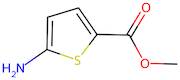 Methyl 5-aminothiophene-2-carboxylate