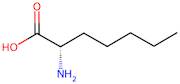 (S)-2-Aminoheptanoic acid