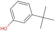 3-(tert-Butyl)phenol