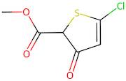 2-Thiophenecarboxylic acid, 5-chloro-2,3-dihydro-3-oxo-, methyl ester