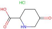 5-oxopiperidine-2-carboxylic acid hydrochloride