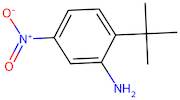 2-(tert-Butyl)-5-nitroaniline