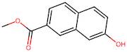 Methyl 7-hydroxy-2-naphthoate