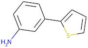 3-(Thien-2-yl)aniline