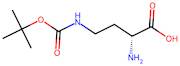 (R)-2-Amino-4-((tert-butoxycarbonyl)amino)butanoic acid