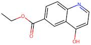 Ethyl 4-hydroxyquinoline-6-carboxylate