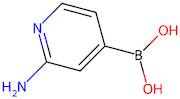 (2-Aminopyridin-4-yl)boronic acid