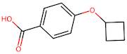 4-(Cyclobutyloxy)benzoic acid