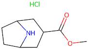 Methyl 8-azabicyclo[3.2.1]octane-3-carboxylate hydrochloride