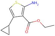 2-Amino-4-cyclopropyl-thiophene-3-carboxylic acid ethyl ester