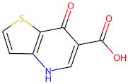 7-Oxo-4,7-dihydrothieno[3,2-b]pyridine-6-carboxylic acid