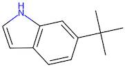 6-(tert-Butyl)-1H-indole