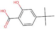 4-tert-Butyl-2-hydroxybenzoic acid