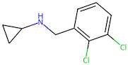 N-(2,3-dichlorobenzyl)cyclopropanamine