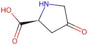 (S)-4-Oxopyrrolidine-2-carboxylic acid