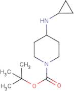 4-(Cyclopropylamino)piperidine, N1-BOC protected