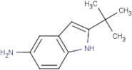 5-Amino-2-(tert-butyl)-1H-indole