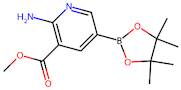 Methyl 2-amino-5-(4,4,5,5-tetramethyl-1,3,2-dioxaborolan-2-yl)nicotinate