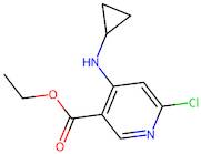 Ethyl 6-chloro-4-(cyclopropylamino)nicotinate