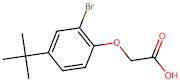 2-(2-Bromo-4-(tert-butyl)phenoxy)acetic acid