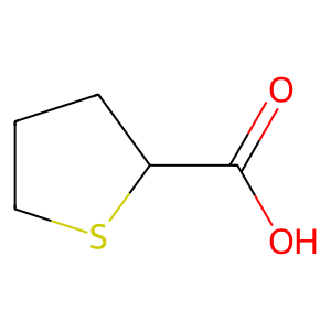 Thiolane-2-carboxylic acid