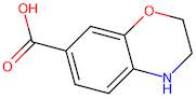 3,4-Dihydro-2H-benzo[b][1,4]oxazine-7-carboxylic acid