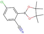 4-Chloro-2-(4,4,5,5-tetramethyl-1,3,2-dioxaborolan-2-yl)benzonitrile