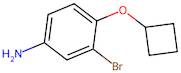 3-Bromo-4-cyclobutoxyaniline