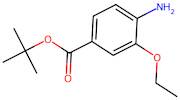 tert-Butyl 4-amino-3-ethoxybenzoate