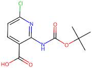 2-Boc-amino-6-chloro-nicotinic acid